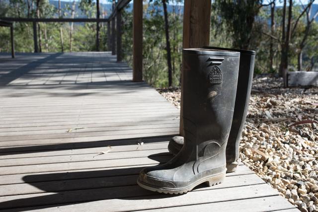 image of gumboots