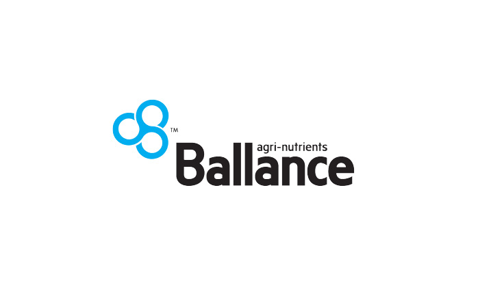 Balance logo