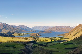 image of green NZ farm and ocean