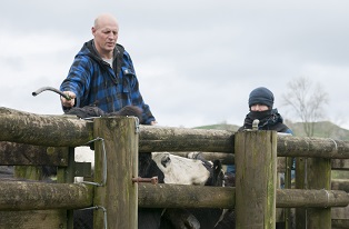image of couple working in cattle yards