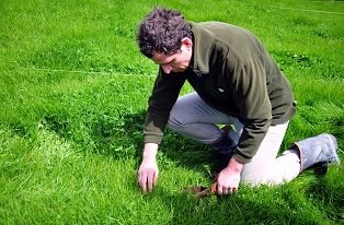 image of man looking at soil and pasture