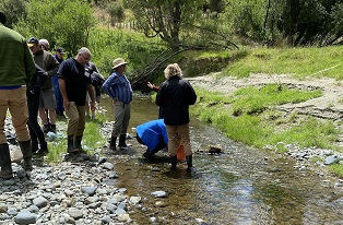 image of farmer group overlooking stream