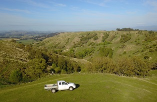 image of ute infront of farm trees and plantings
