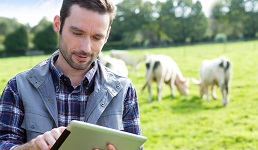 image of farmer on-farm using ipad