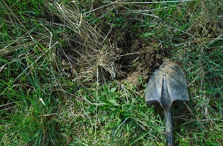 image of spade and grassy soil