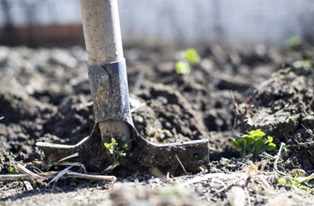 image of spade in soil