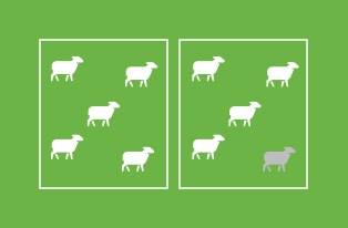 illustration of sheep and one odd one out