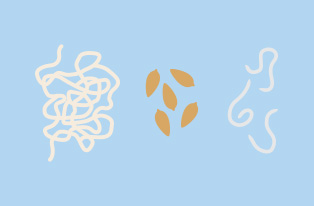 illustration depicting tapeworm, liver fluke and lungworm