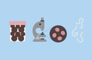 illustrated image representing worm diagnostics
