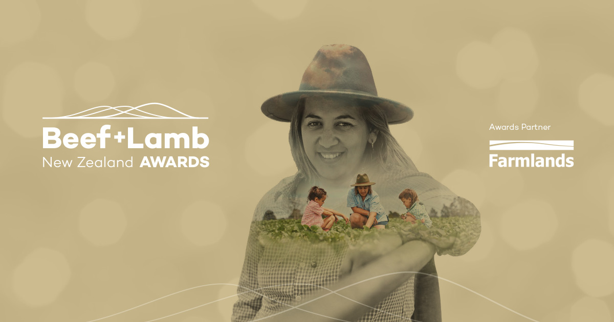 Entries open in 2024 Beef + Lamb New Zealand Awards | Beef + Lamb New ...