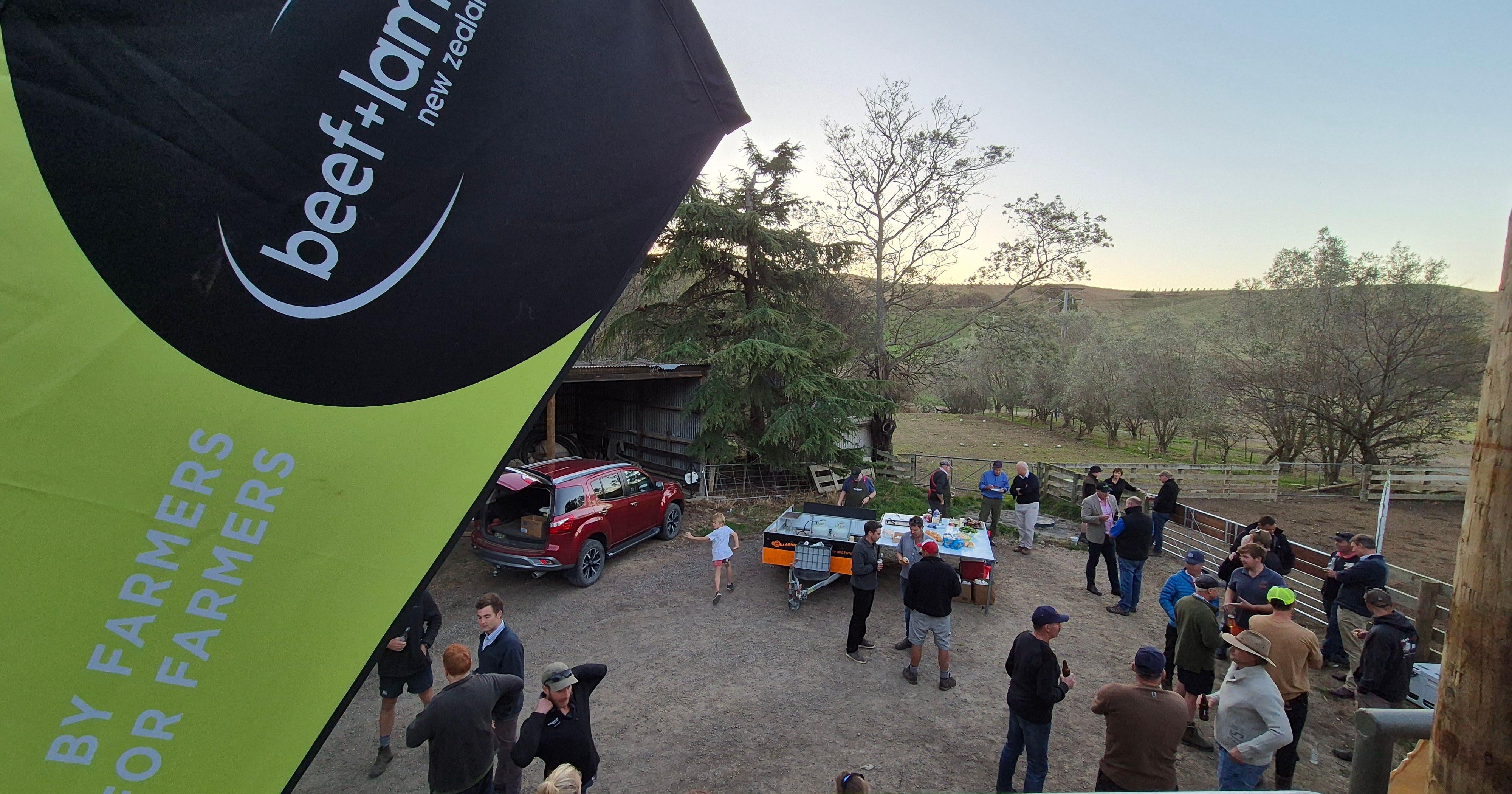 B+LNZ Farmer Council sets future extension focus Beef + Lamb New Zealand