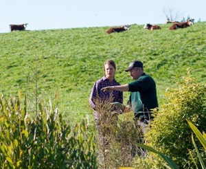 farm systems