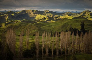 image of NZ fam in shadows with mob on hills