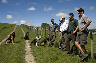 image of males standing by fence with three dogs