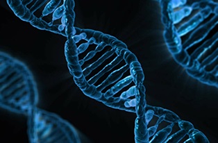 image of blue dna