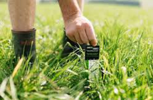 image of person using strip test