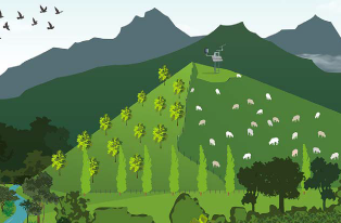 animated image of hill country farming