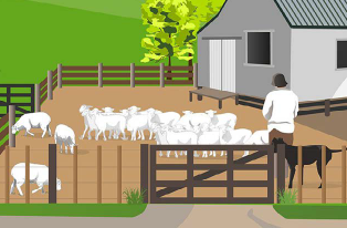 image of farmer in yard infront of hills