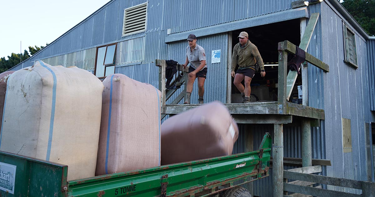 image of two young farmers moving wool into barrels