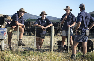 image of young farmers in a meeting