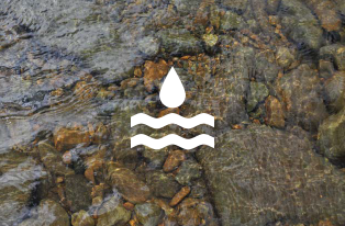 Freshwater