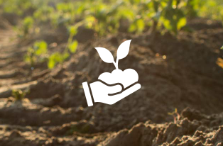 Soil