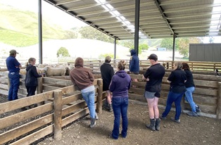 image of farmers in yard at field day