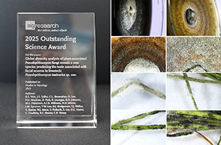 EFEI banner thumbnail image of award