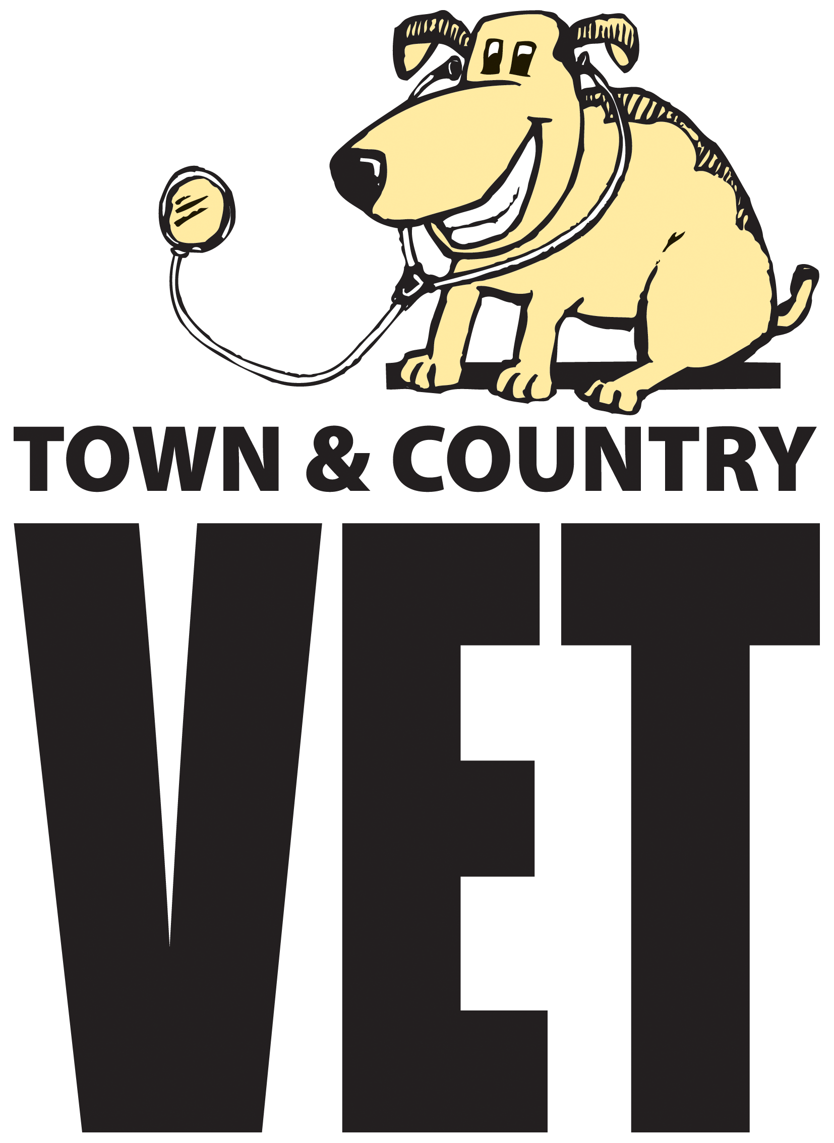Town and Country Vet