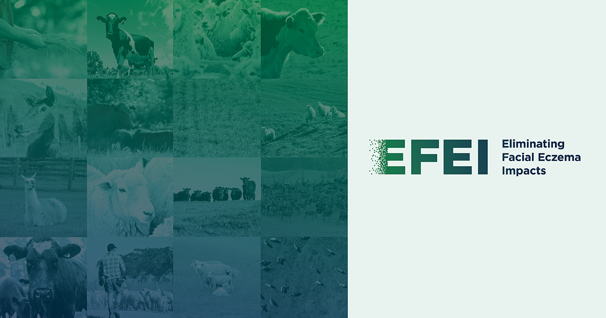 EFEI web banner - High res