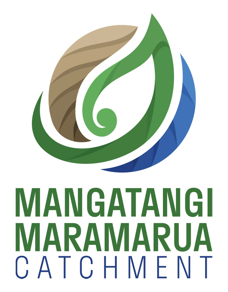 Mangatangi catchment