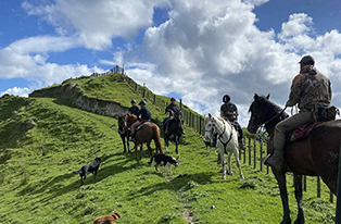 Image of farmers on horse going up a hill