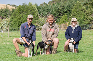 image of three young farmers with their dogs