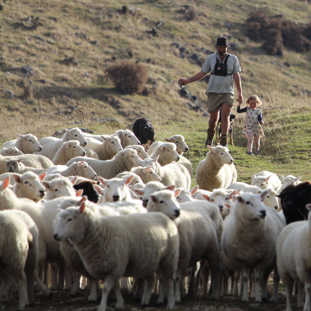 man with girl herding sheep