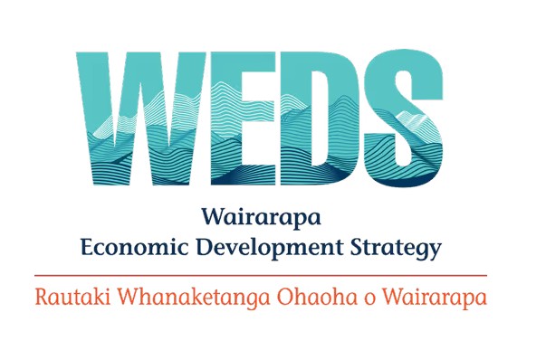 WEDS logo