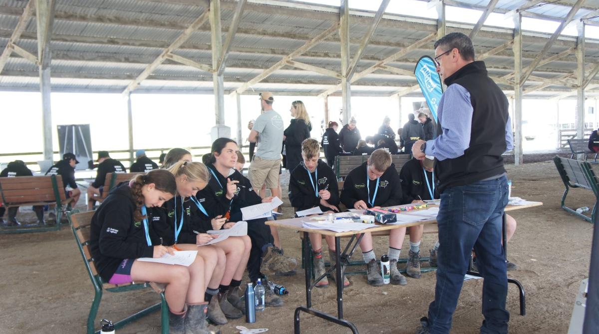 image of future sheep competition