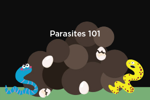 parasites poster image