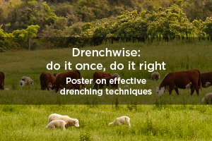 drenchwise poster image