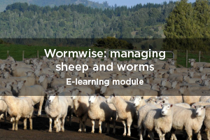 wormwise poster image