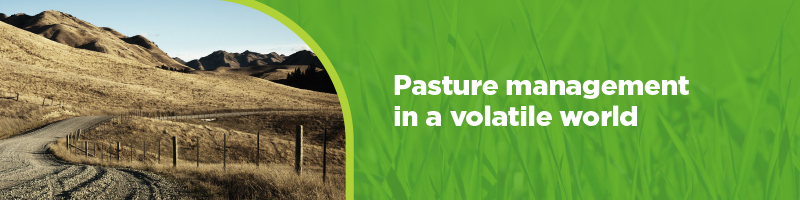 banner image of pastures