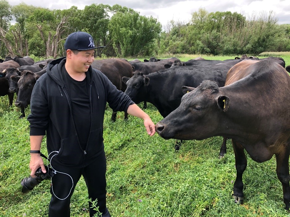 image of influencer with cows