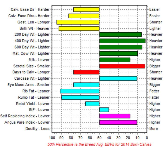 How to find the best bull for your operation | Beef + Lamb New Zealand