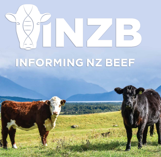 An introduction to the B+LNZ Informing New Zealand Beef programme what