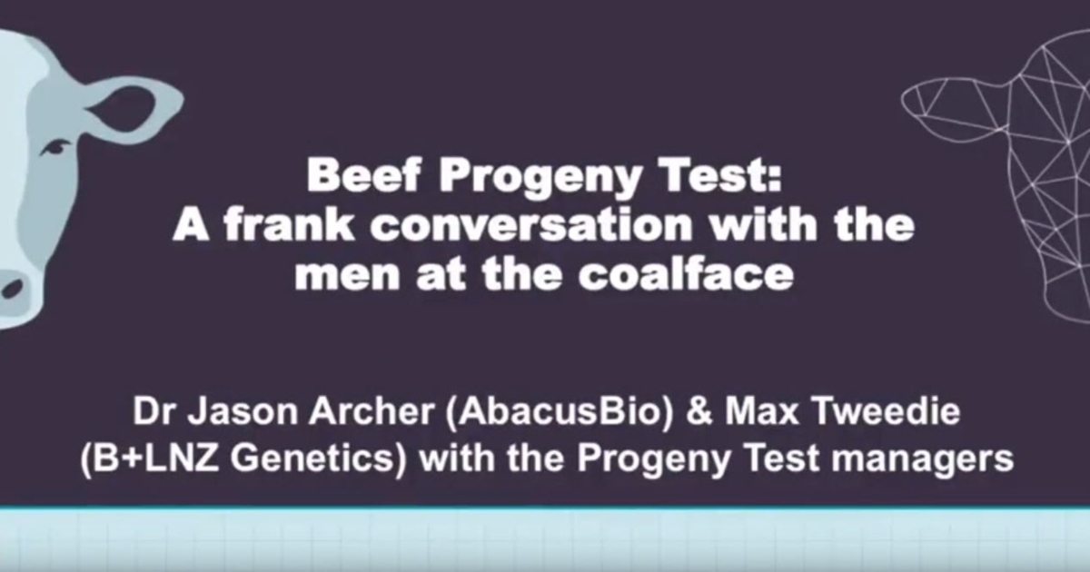Beef Progeny Test: a frank conversation with the men at the coalface ...