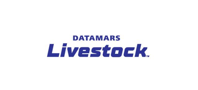 Datamars logo
