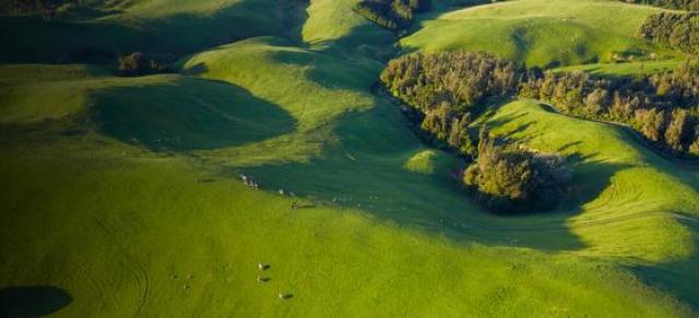 Aerial image of green fields