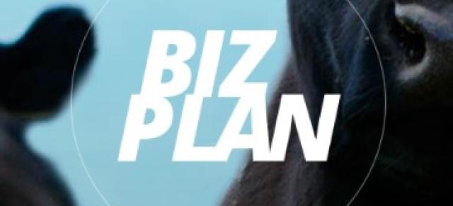 image of biz plan logo