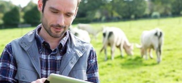 image of farmer on-farm using ipad