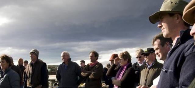 image of farmers at field day