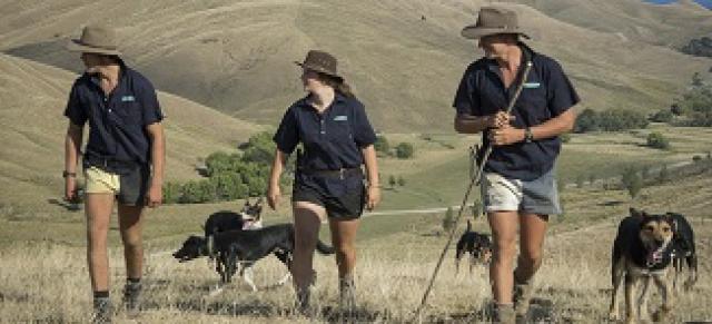 image of three young farmers walking with dogs